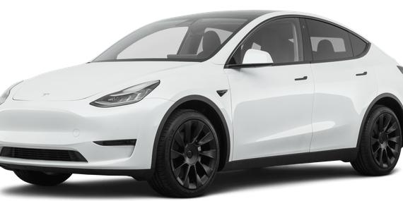TESLA MODEL Y 2021 5YJYGDEE1MF103445 image